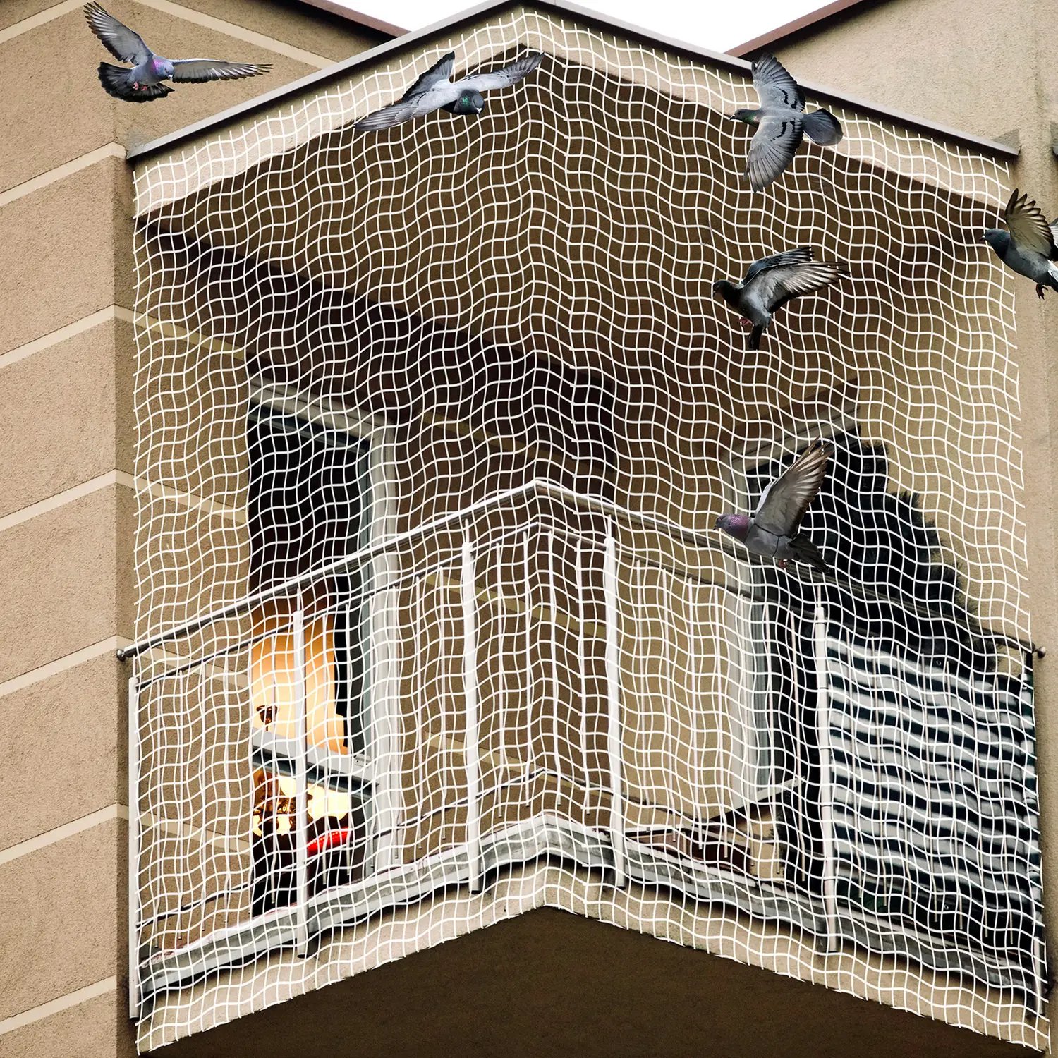 Clean modern residential exterior for bird protection services