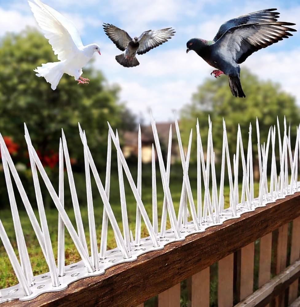 Bird Spike