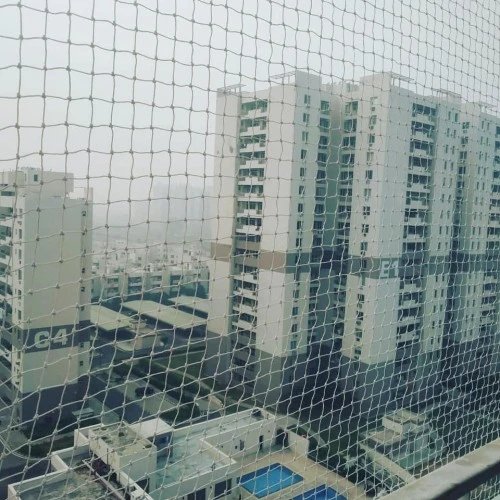 Commercial Bird Net
